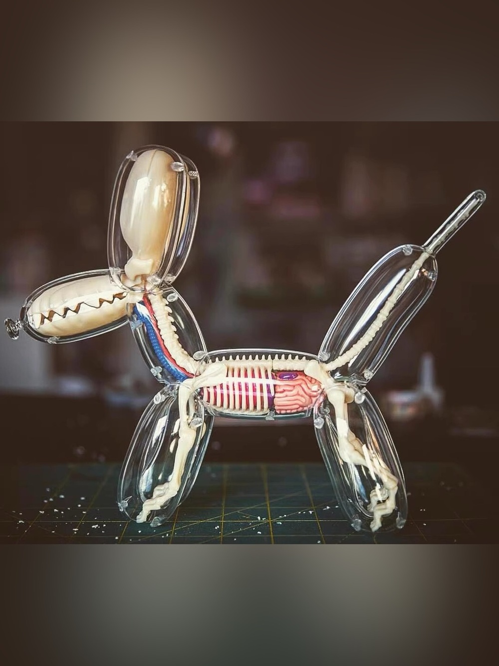 Balloon Dog Anatomy Model Kit #85 - Picture 3 of 9